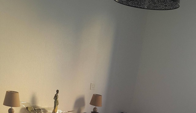 T3, calm in the city center of Pau