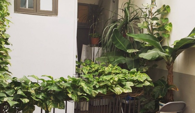 T3 Cosy au Cœur de Saint Victor