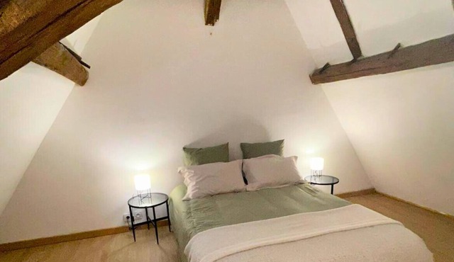 T3 en Plein Cœur de Bourges