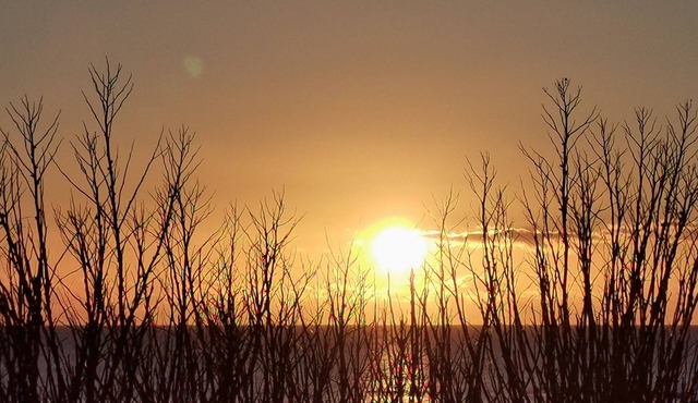 T3 - Ocean view, waterfront, garden and sea-view terrace, free parking.