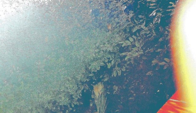 T3 swimming pool jacuzzi