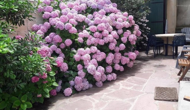 T3 with terrace, sea view, hyper center biarritz, old port, 20m from the beach.