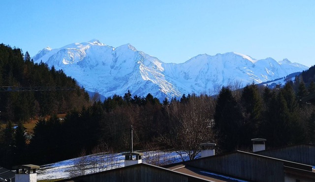 T4 mont blanc view