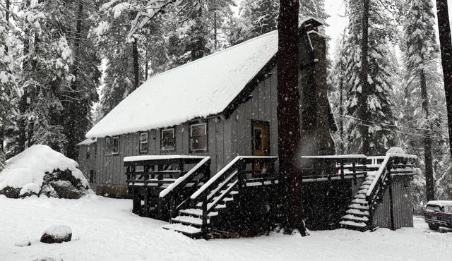 Tahoe Adventure Cabin: Ski, Sled & Snowshoe