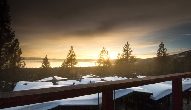 Tahoe Chaparral