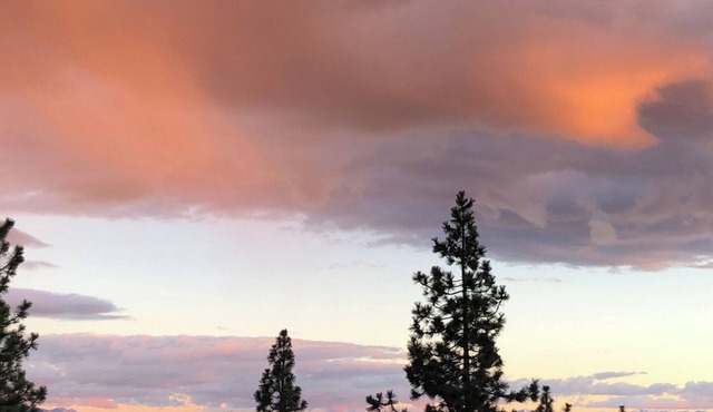 Tahoe Chaparral
