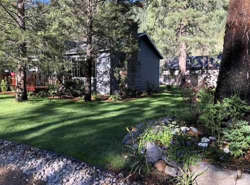 Tahoe Cottage perfect for couples and outdoor enthusiasts