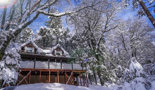 ♥ Tahoe Retreat Cabin, Tesla EV, Forest Escape