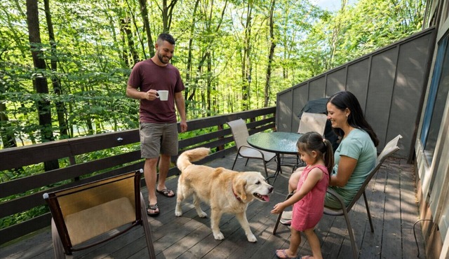 🌲 Tail Trails Getaway: Short & Long Term Stays, Walk to Lake, Pets Welcome 🐾