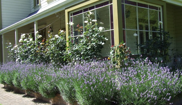 Tairoa Lodge & Cottage