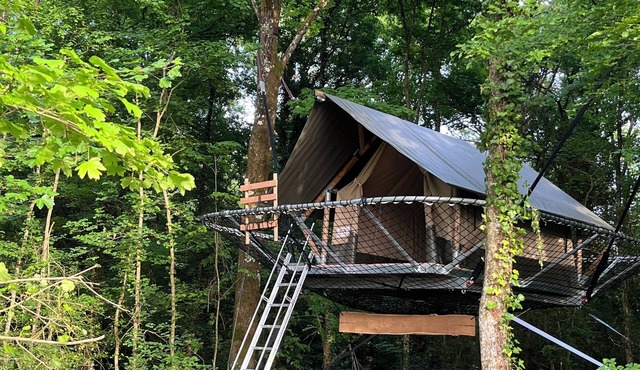 Take a breath. Feel it. Reconnect. Make nature your most beautiful room.