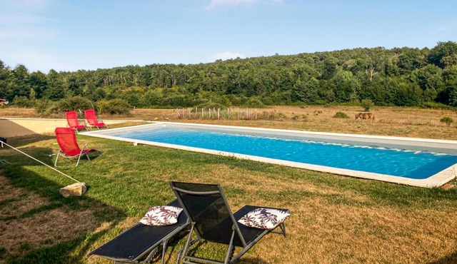 Take a dip in the swimming pool and watch the horses in the paddock.