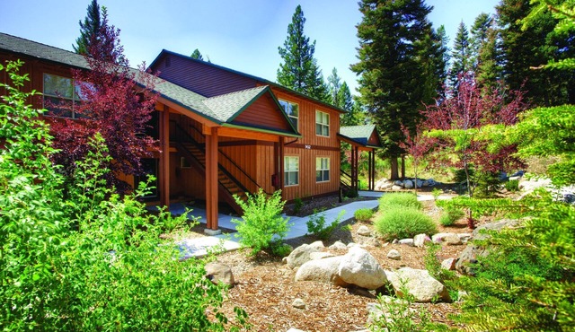 Take a hike along the Huckleberry Loop for a glimpse of elk!