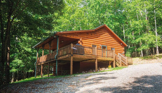Take in Nature @ Whispering Woods, Secluded and Stylish