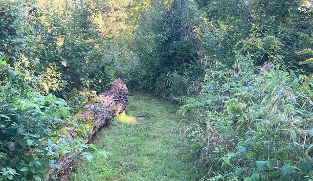 Take Me Tenting nBrookside Site