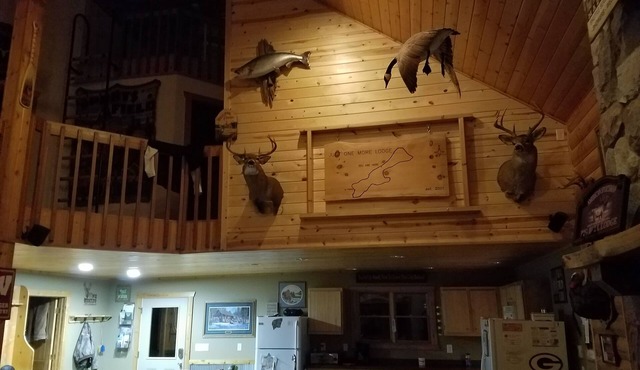 Taking summer rentals!