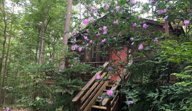 Tale of the trout cabin located 1 mile from the trout stream and Lake