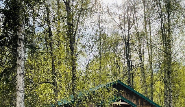 Talkeetna Wilderness Lodge - Family Cabin #4