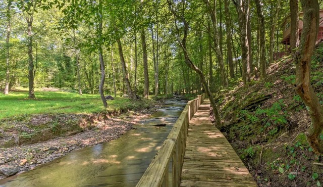 Talking Rock Creek Cabin - 1.2acres with beautiful creek running through it.