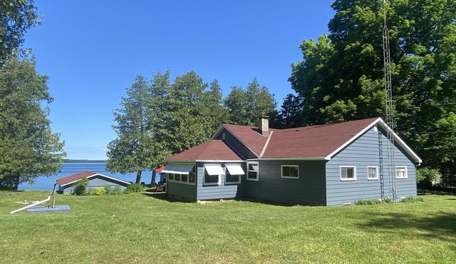 Tall Cedars on Big Rideau Lake