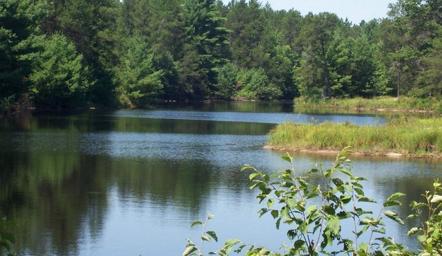 Tall Pines Lodge- Cottages On Serenity Lake- Sitting on 80 Acres Of Wildlife!