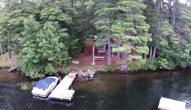 Tall Pines On Loon Lake
