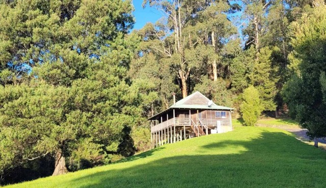 Tall Trees Eco Retreat - Manna Gum Cottage