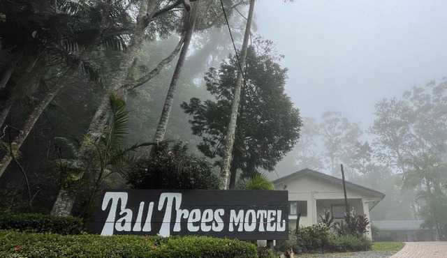 Tall Trees Motel Mountain Retreat