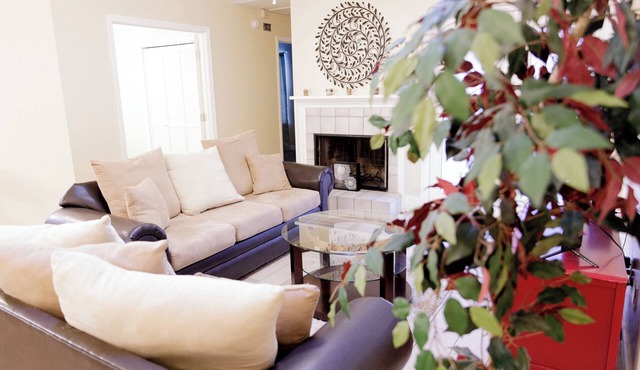 Tallahassee Gem: Comfy, Cozy & Convenient