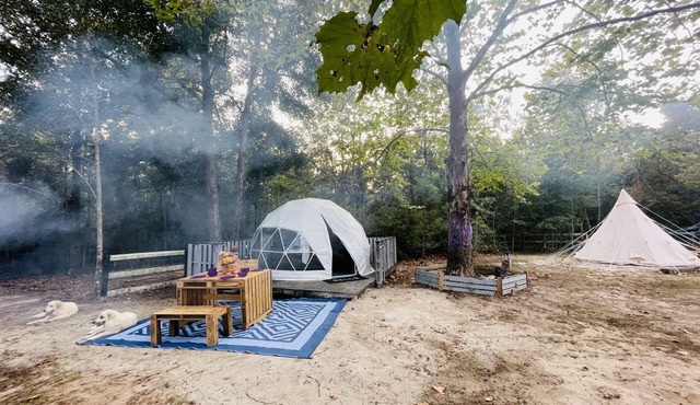Tally Glamping Farmstay GIMPY’S GEODOME with mini horses, goats, cows, chickens