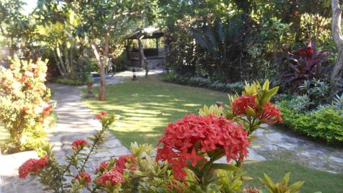 Taman Menjangan by SnorkelingMenjangan