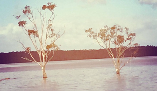 Tamboritha by the lake