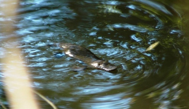 Tambreet Cottage Farmstay