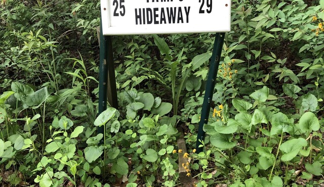 Tami's Hideaway - Nature and Comfort at this Private Asheville Getaway