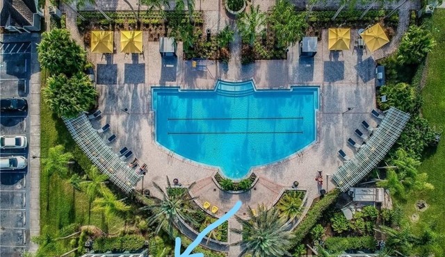 Tampa~Brandon 1st. floor Poolside condo! Jan cancel alert! Xtra 10% off$!