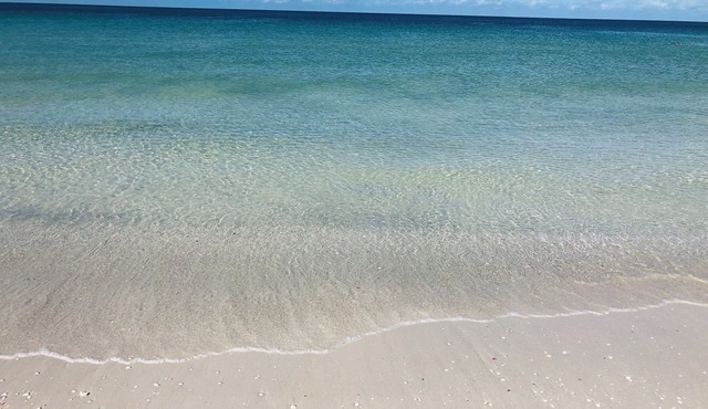 Tampa Heights Bungalow