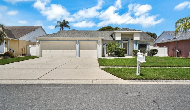 Tampa Paradise For All Occasions