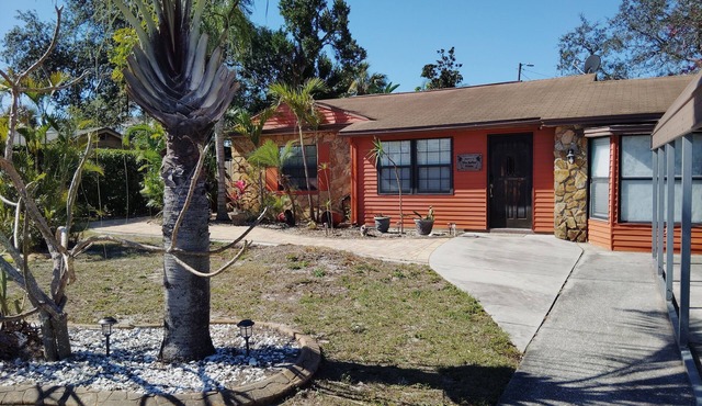 Tampa Tiki House - Bar & Heated Pool