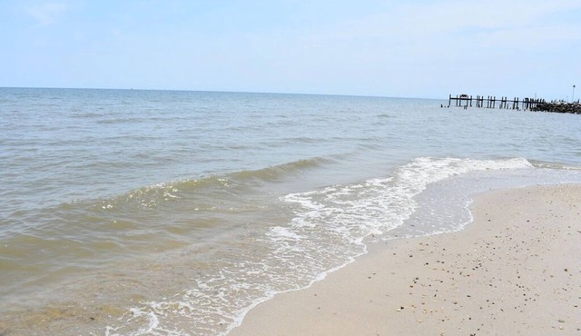 Tanera Moor at Scotland Yards