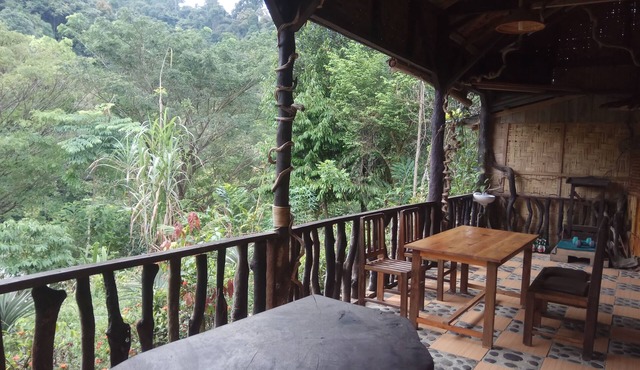 Tangkahan Inn