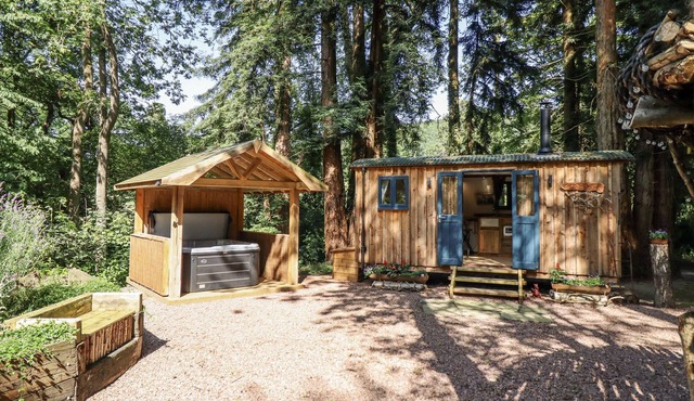 TANGLEWOOD SHEPHERDS HUT, romantic, with hot tub in Welshpool