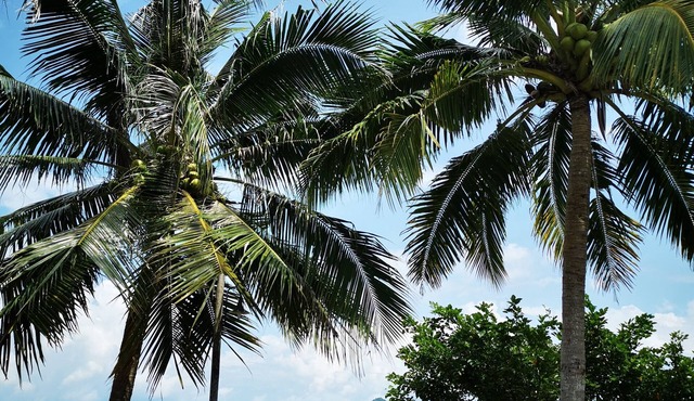 Tanjung Puteri Motel
