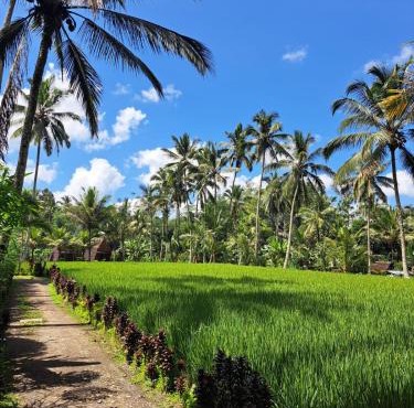 tarotours accommodation