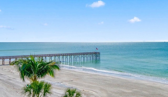 Tarpon Sky Lounge Luxury Beachfront Penthouse in Redington Beach FL