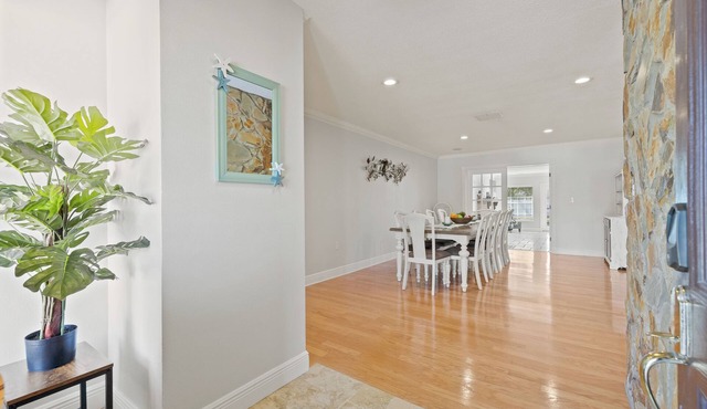 Tarpon Springs Treasure 4BD 2BA Huge Backyard