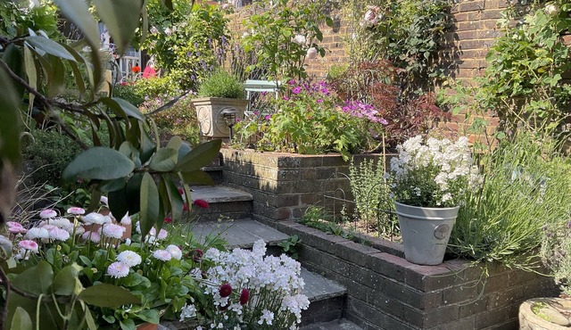Tarrant St Cottage with lovely garden