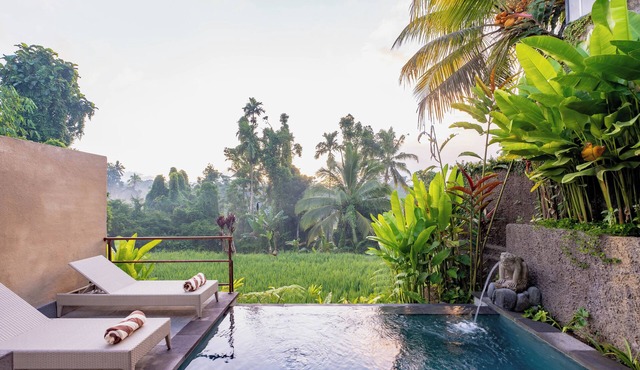 Taru Sebatu Villa