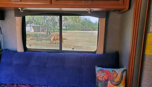 Taste of Tiny Living in Pet Friendly Paradise