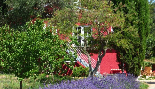 Tastefully furnished apartment in renovated vacation home