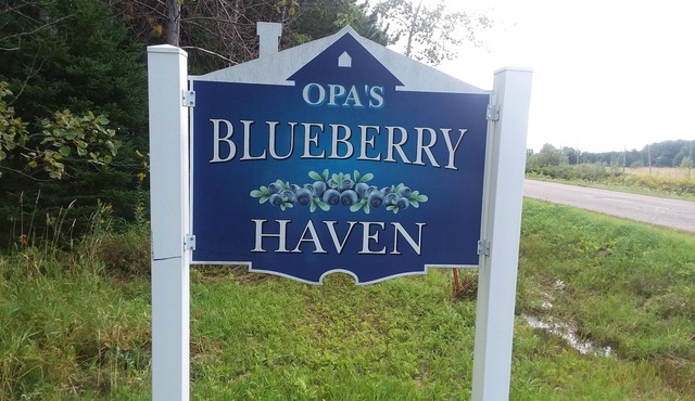 Tastefully renovated 3 bed house + wood sauna on 19 acres.
